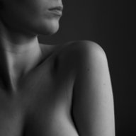 [ T.Rexa ]
