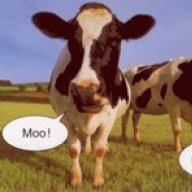 Post_Cows