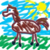 PONY
