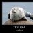 freeforseal